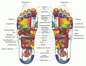 foot_reflexology_001